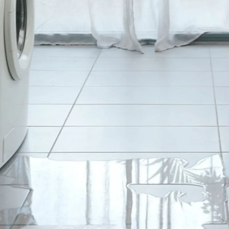 Appliance Leak Cleanup in Birmingham, MI