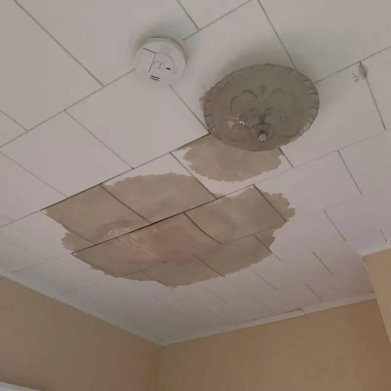 Ceiling Water Damage Repair in Birmingham, MI