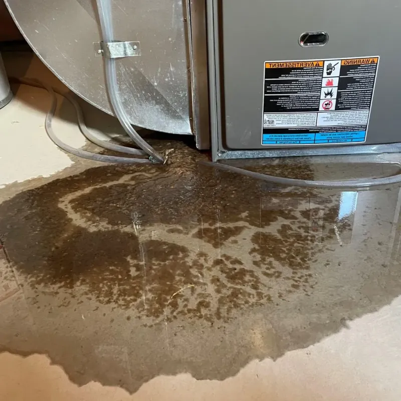 Pipe Burst and Leak Restoration in Birmingham, MI
