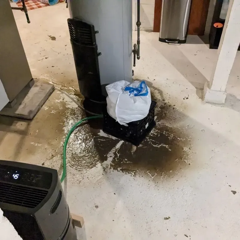 Sewage Backup Cleanup Service in Birmingham, MI